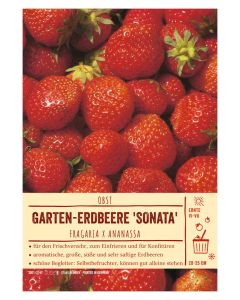 Sortenschild, Fragaria x ananassa 'Sonata'