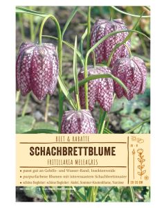 Sortenschild Fritillaria meleagris