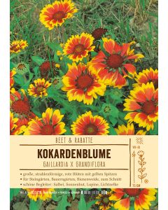 Sortenschild, Gaillardia Hybride