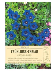 Sortenschild, Gentiana acaulis