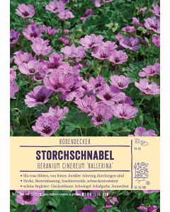 Sortenschild, Geranium cinereum 'Ballerina'