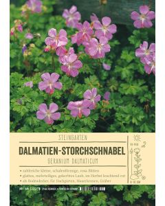 Sortenschild, Geranium dalmaticum