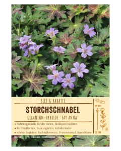 Sortenschild, Geranium-Hybride 'Fay Anna'