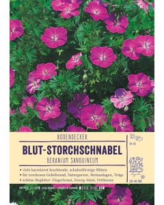 Sortenschild, Geranium sanguineum