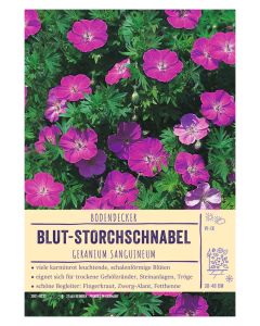 Sortenschild, Geranium sanguineum