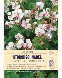 Sortenschild, Geranium x cantabrigiense 'Biokovo'