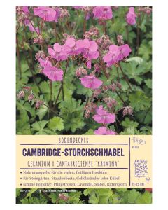 Sortenschild, Geranium x cantabrigiense 'Karmina'