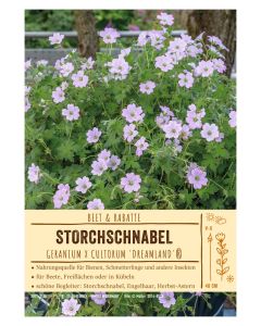 Sortenschild, Geranium x cultorum 'Dreamland'®
