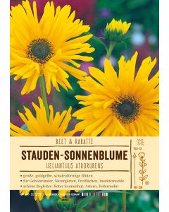Sortenschild, Helianthus atrorubens