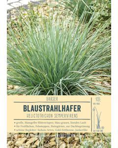 Sortenschild, Helictotrichon sempervirens