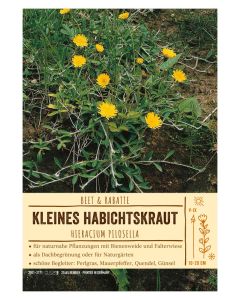 Sortenschild, Hieracium pilosella