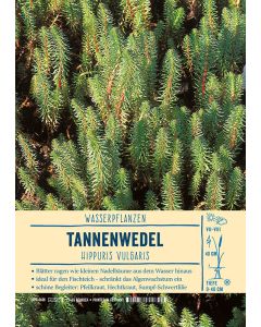 Sortenschild, Hippuris vulgaris