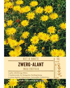 Sortenschild, Inula ensifolia