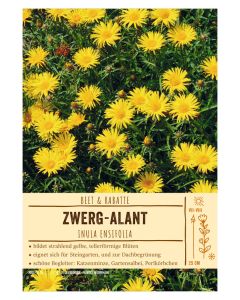 Sortenschild, Inula ensifolia