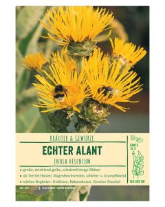 Sortenschild, Inula helenium
