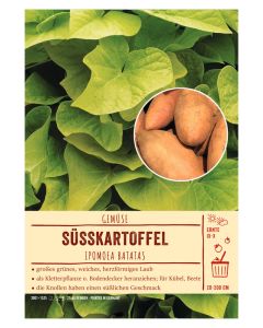 Sortenschild, Ipomoea batatas
