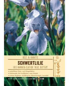 Sortenschild, Iris Barbata-Elatior 'Blue Rhythm'