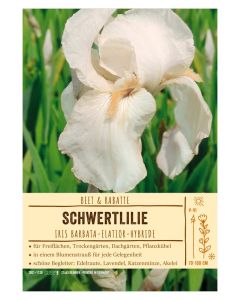 Sortenschild, Iris Barbata-Elatior-Hybride