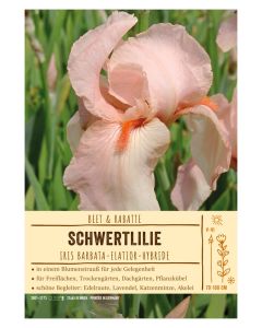 Sortenschild, Iris Barbata-Elatior-Hybride