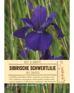 Sortenschild, Iris sibirica