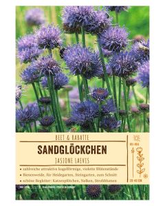 Sortenschild, Jasione laevis