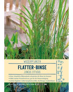 Sortenschild, Juncus effusus