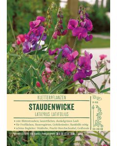 Sortenschild, Allium tuberosum