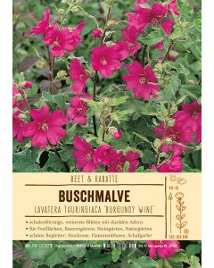 Sortenschild, Lavatera thuringiaca 'Burgundy Wine'