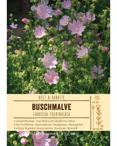 Sortenschild, Lavatera thuringiaca