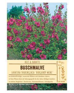 Sortenschild, Lavatera thuringiaca 'Burgundy Wine'