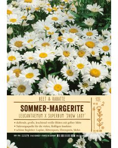 Sortenschild, Leucanthemum x superbum 'Snow Lady'
