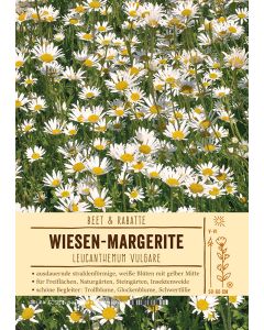 Sortenschild, Leucanthemum vulgare