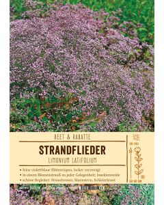Sortenschild Limonium latifolium