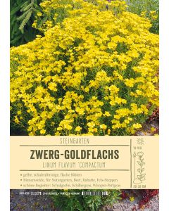 Sortenschild, Linum flavum 'Compactum'
