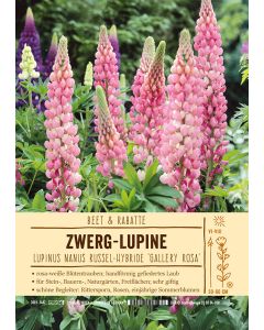 Sortenschild, Lupinus Nanus Russel-Hyb, 'Gallery Rosa'