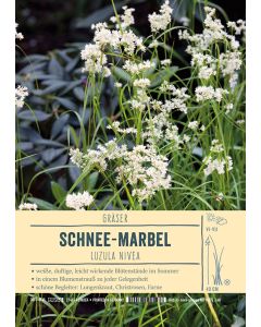 Sortenschild, Luzula nivea