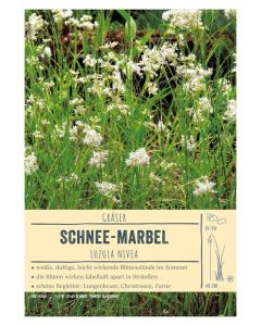 Sortenschild, Luzula nivea