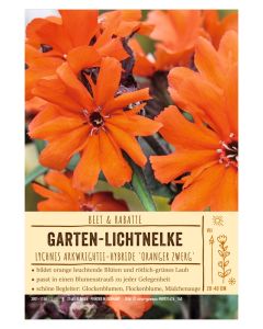 Sortenschild, Lychnis Arkwrightii-Hybride 'Oranger Zwerg'