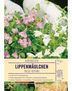 Sortenschild, Mazus reptans