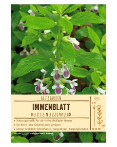 Sortenschild, Melittis melissophyllum