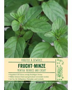 Sortenschild, Mentha 'Berries and Cream'