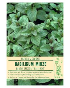 Sortenschild, Mentha spec. 'Basilmint'