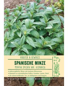 Sortenschild, Mentha spicata var. hispanica