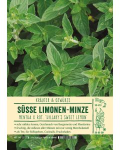 Sortenschild, Mentha 'Hillary's Sweet Lemon'