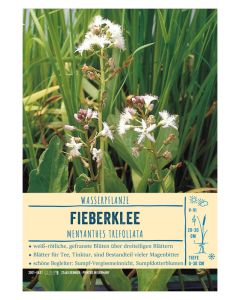 Sortenschild, Menyanthes trifoliata