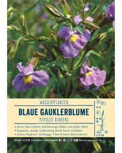 Sortenschild, Mimulus ringens