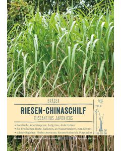 Sortenschild, Miscanthus japonicus