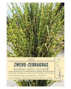 Sortenschild, Miscanthus sinensis 'Gold Bar'®