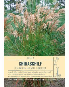 Sortenschild, Miscanthus sinensis 'Graziella'