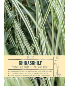 Sortenschild, Miscanthus sinensis 'Morning Light'